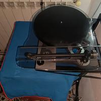 rega p8