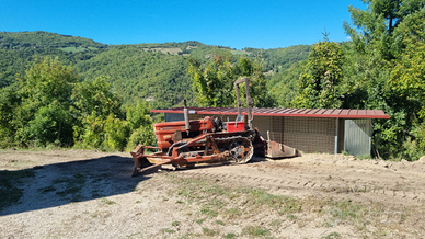 Trattore fiat 505 cingolato da montagna