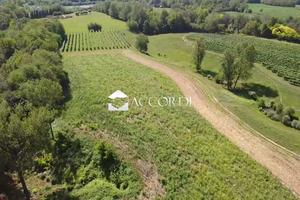 Rif.SW186- terreno agricolo asolo