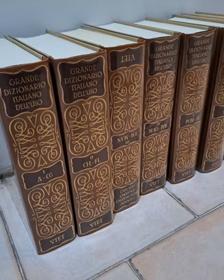 Grande dizionario della lingua italiana "De Mauro"