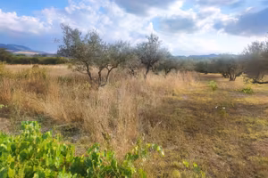 Terreno Industriale 900 mq  –Filiano (Potenza)