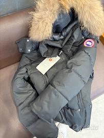 Canada goose l
