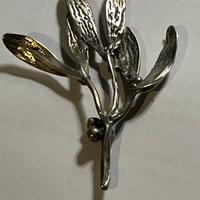 N1193-1 rametto vischio