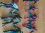 Immagine 2