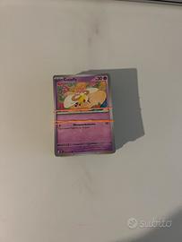 carte pokemon