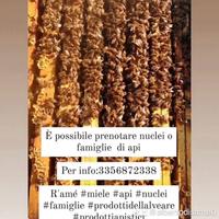 Nuclei di api e famiglie