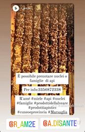 Nuclei di api e famiglie