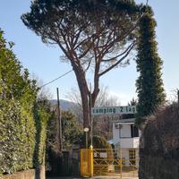 Camping PROPRIETA' IMMOBILIARE- NUOVO PROGETTO