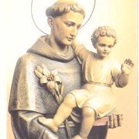 Santino - Sant'Antonio di Padova.208