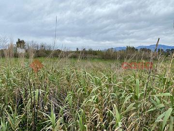 Terreno Agricolo Sessa Aurunca