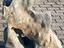 Immagine 25