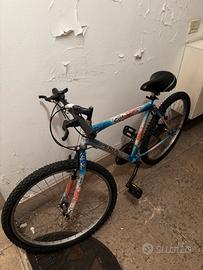 Bicicletta Colorado Esperia mountain bike MTB