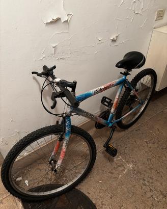 Bicicletta Colorado Esperia mountain bike MTB