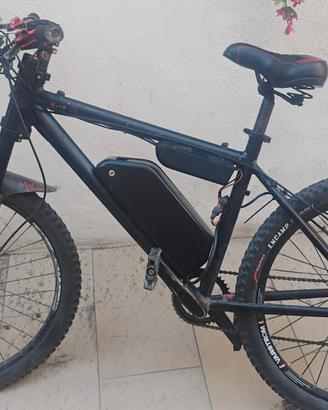 bici elettrica 
