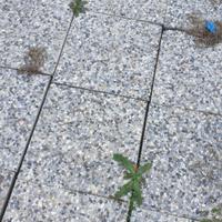 mattonelle per giardino