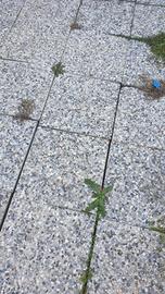 mattonelle per giardino