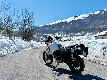 Ducati Desert X