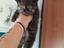 Immagine 4