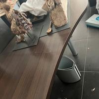 Scrivania per l’ufficio