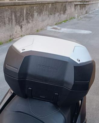 Bauletto Honda adv 350