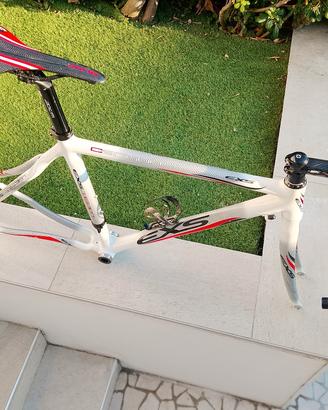 telaio carbonio bici corsa o scatto fisso