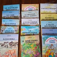 libri per bambini 
