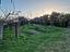 Immagine 9
