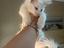 Immagine 3