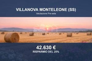 Immobile in asta di 84072 m² a Villanova Monteleon