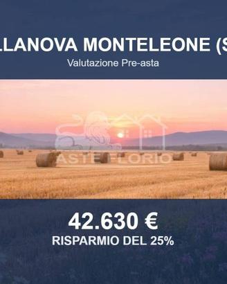Immobile in asta di 84072 m² a Villanova Monteleon
