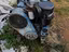 Immagine 2