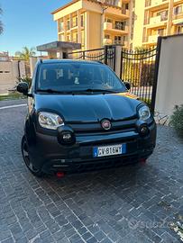 Panda ibrido