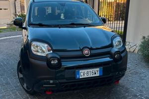 Panda ibrido
