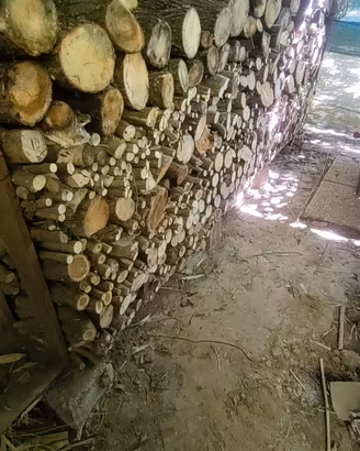 Legna tagliata da ardere
