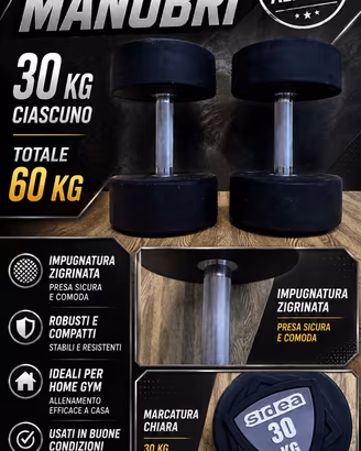Coppia manubri 30 kg