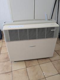 Climatizzatore monoblocco senza unità esterna 