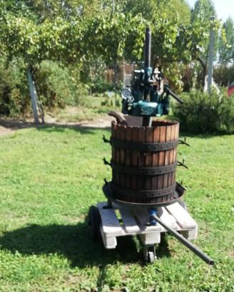 Torchio idraulico per uva