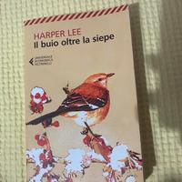 il buio oltre la siepe