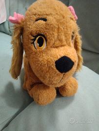 cagnolina Lucy