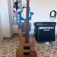Basso ESP LTD B-204 Natural Satin