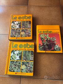 Le erbe aromatiche cosmetiche