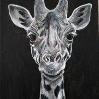 Quadro ad olio su tela 30x25. Giraffa