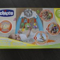 Palestrina Musicale Chicco
