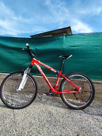 biciclette