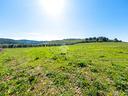 ter-agricolo-a-vieste
