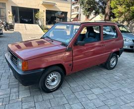 Fiat Panda 1100 i.e. cat Young
