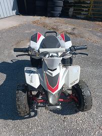 Quad elettrico