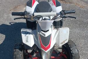 Quad elettrico