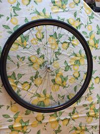 ruota campagnolo omega anteriore