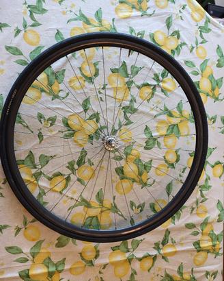 ruota campagnolo omega anteriore